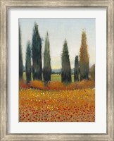 Framed Cypress Trees I