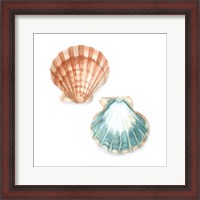 Framed Watercolor Shells I