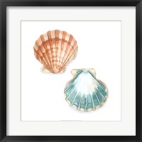 Framed Watercolor Shells I