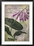 Favorite Flowers III Framed Print