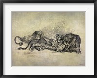 Framed Big Cats I