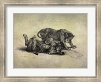 Framed Big Cats II