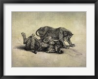 Big Cats II Framed Print