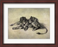 Framed Big Cats III