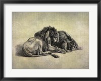 Big Cats IV Framed Print