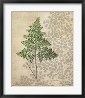 British Ferns I Framed Print