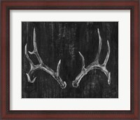 Framed Rustic Antlers II
