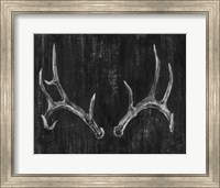 Framed Rustic Antlers II