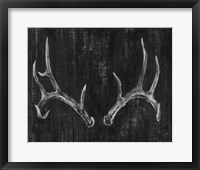 Rustic Antlers II Framed Print