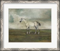 Framed Grey Hunter in a Landscape