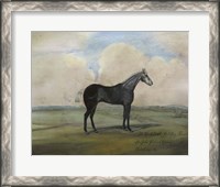 Framed ""The Kicker,"" A Steel Grey Racehorse