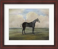 Framed ""The Kicker,"" A Steel Grey Racehorse