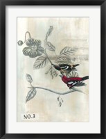 After Flight III Framed Print