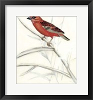 Framed Rustic Aviary IV