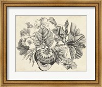 Framed Sepia Squash II