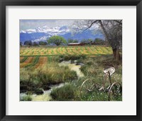 Idyllic Farm I Framed Print