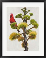 Avian Tropics I Framed Print