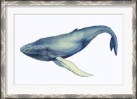 Framed Whale's Song I