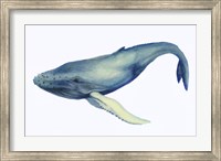 Framed Whale's Song I