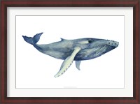 Framed Whale's Song II