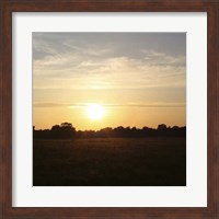 Framed Sunset Field I