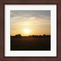 Framed Sunset Field I