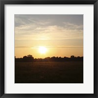 Sunset Field I Framed Print