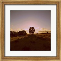 Framed Sunset Field II