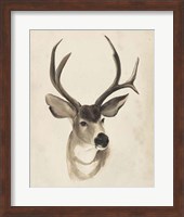 Framed Watercolor Animal Study II