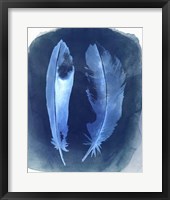 Feather Negatives I Framed Print