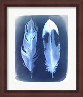 Framed Feather Negatives II