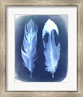 Framed Feather Negatives II