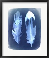 Feather Negatives II Framed Print