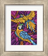 Framed Parrot A