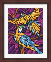 Framed Parrot A