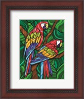 Framed Parrot B