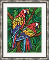 Framed Parrot B