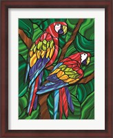 Framed Parrot B