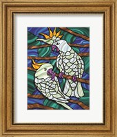 Framed Parrot C