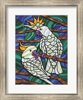 Framed Parrot C
