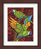 Framed Parrot D