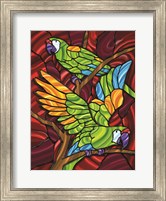 Framed Parrot D