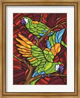 Framed Parrot D