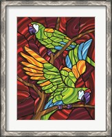 Framed Parrot D