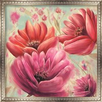 Framed Pink Poppy Bloom