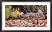 Framed Quail Pair