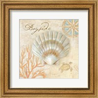 Framed Nautical Shells II