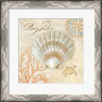 Framed Nautical Shells II