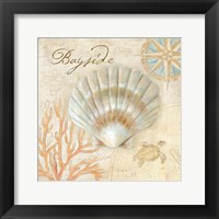 Nautical Shells II Framed Print