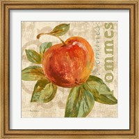 Framed Rustic Fruit I